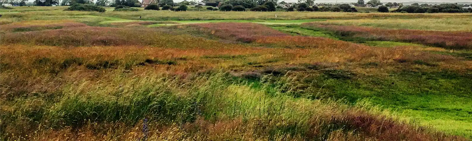 Littlestone Golf Course near Romney Marsh.jpg