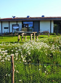 romney-marsh-visitor-centre-and-nature-reserve.jpg