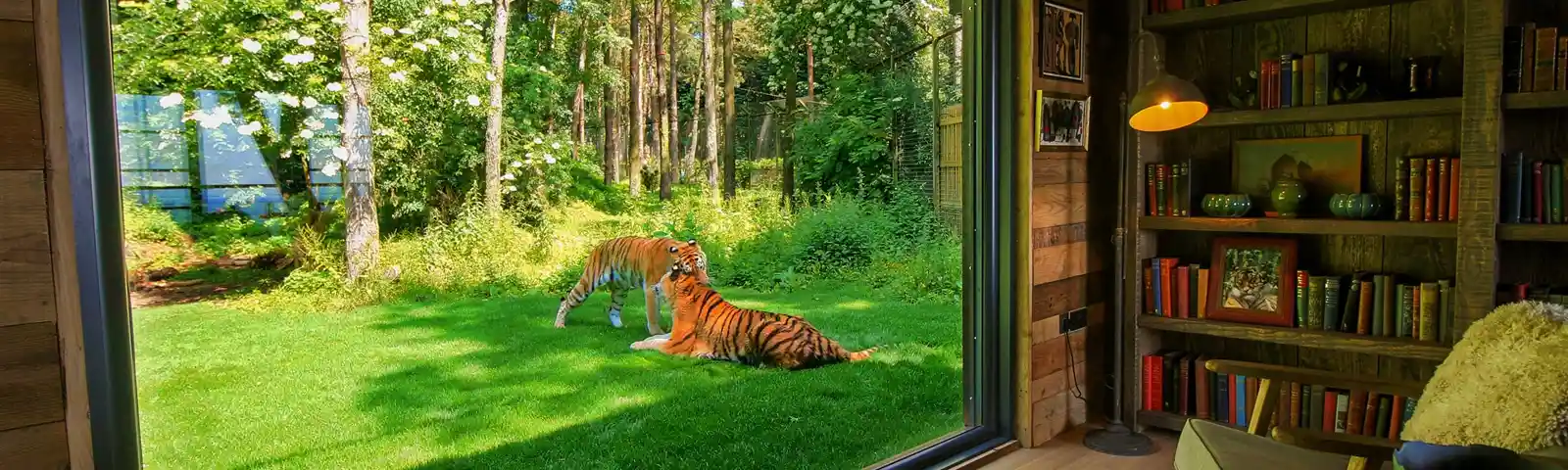 Tiger Lodge at Port Lympne Reserve Living Area Second View - Low Res.jpg